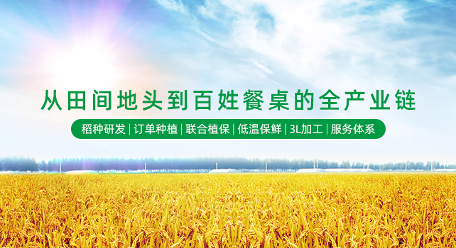 中國(guó)政府采購招標(biāo)網(wǎng)